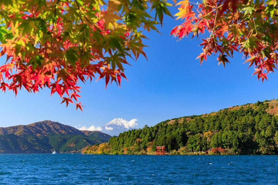 New Open『天然温泉』芦ノ湖畔の完全貸切別荘 Hakone Exteriér fotografie